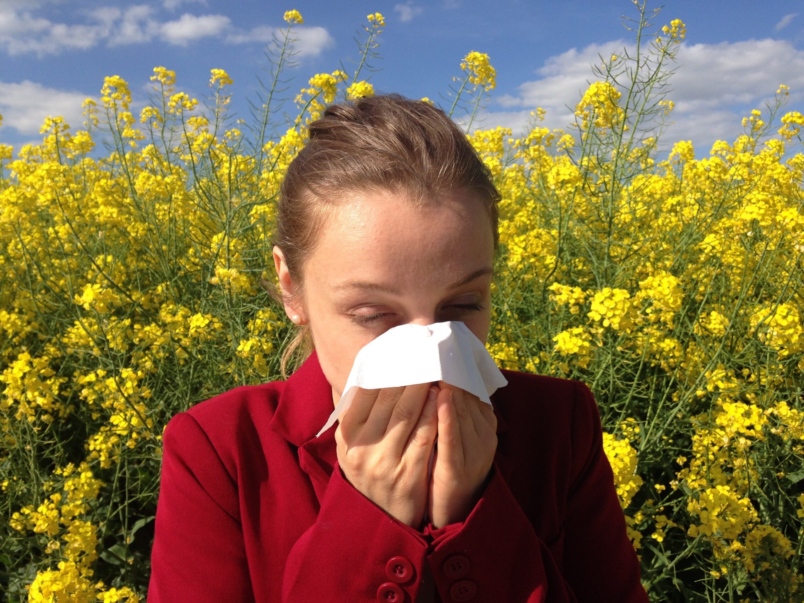 Woman blowing her nose into a tissue in front of a yellow flowering field, a typical seasonal pollen allergy scene